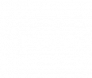 icone-google